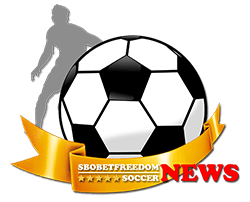 tiny icon logo